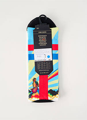 Chaussettes imprimé fantaisie bleu PULL IN homme