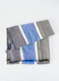 Echarpe imprimé carreaux bleu CAMBRIDGE homme
