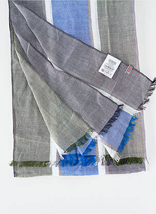 Echarpe imprimé carreaux bleu CAMBRIDGE homme