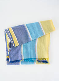 Foulard tissage popeline bleu CAMBRIDGE homme