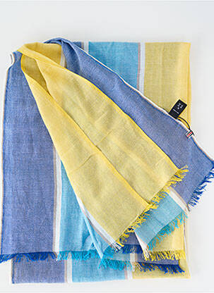 Foulard tissage popeline bleu CAMBRIDGE homme