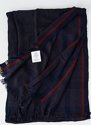 Echarpe imprimé carreaux bleu CAMBRIDGE homme