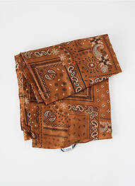 Foulard légère et transparente marron JULIE GUERLANDE femme