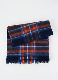 Echarpe imprimé carreaux bleu CAMBRIDGE homme