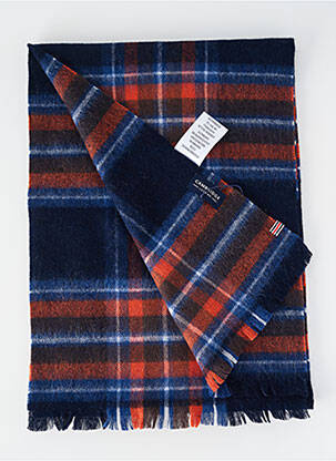 Echarpe imprimé carreaux bleu CAMBRIDGE homme