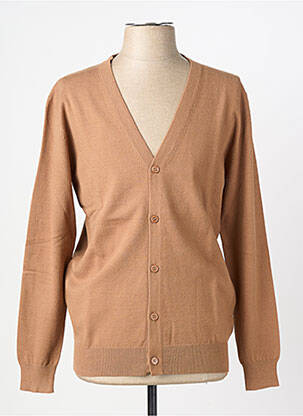 Gilet manches longues col v marron YVES ENZO homme