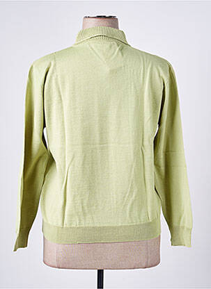 Pull stretch manches longues vert EDWIGE femme