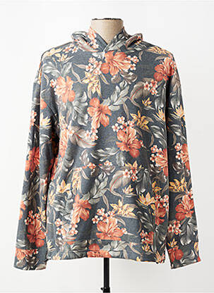 Sweat-shirt à capuche manches longues manches longues vert TEDDY SMITH homme