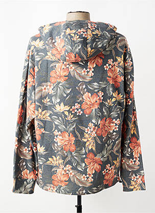 Sweat-shirt à capuche manches longues manches longues vert TEDDY SMITH homme