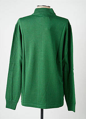 Pull coupe cintrée manches longues vert ELLEMME femme