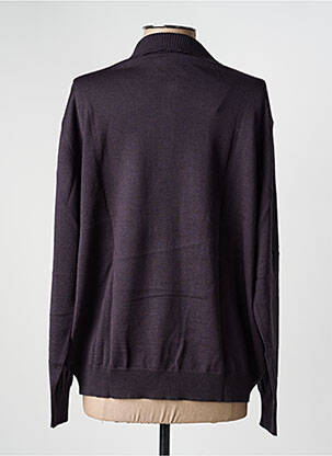 Pull coupe droite manches longues gris EDWIGE femme