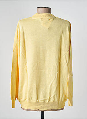 Pull resserrée sur le bas manches longues jaune EDWIGE femme