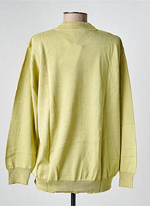 Pull coupe droite manches longues vert EDWIGE femme