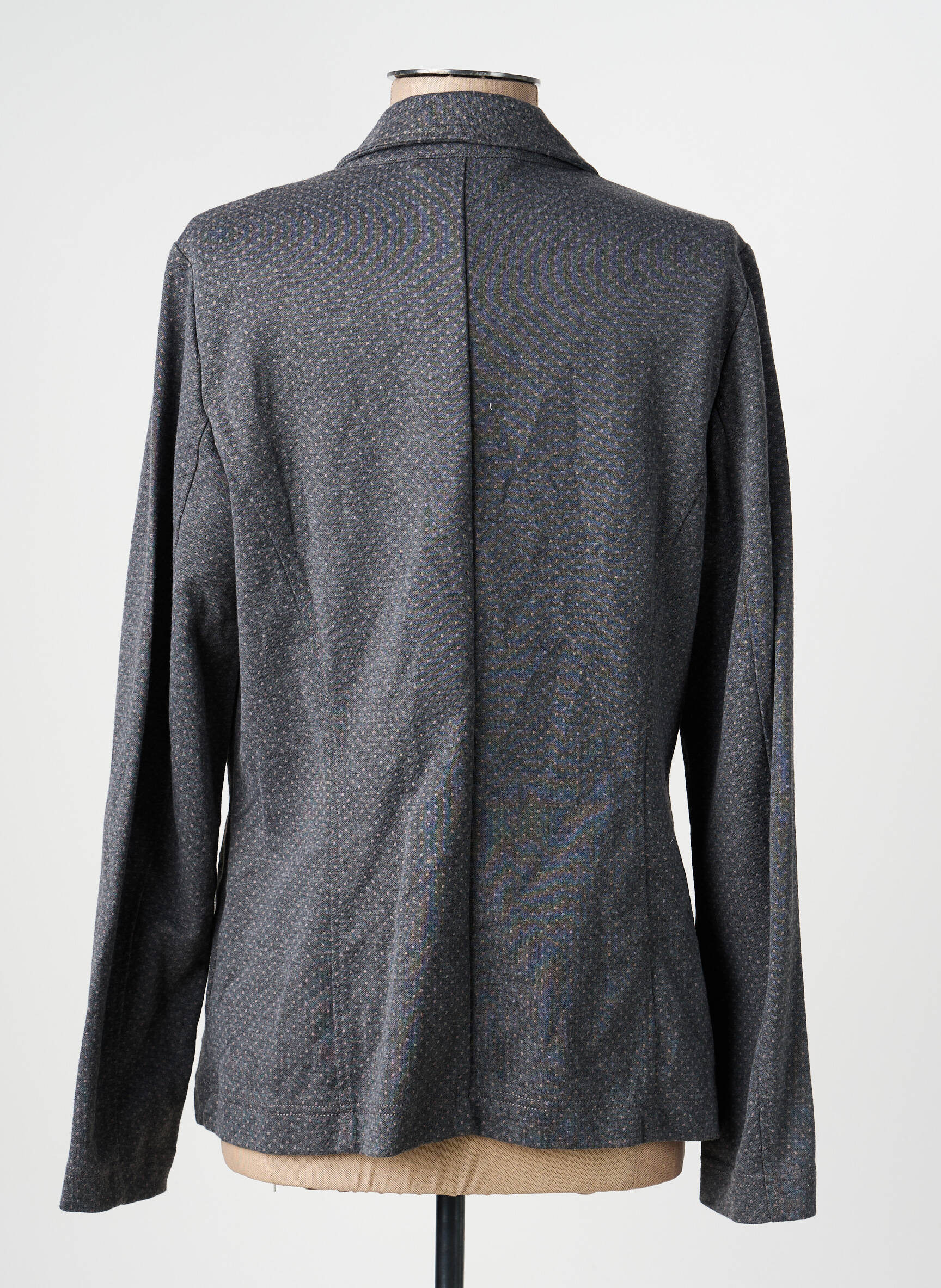 Blazer coupe cintrée gris OLSEN femme