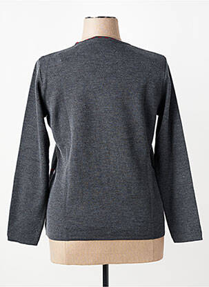 Pull coupe cintrée manches longues gris TELMAIL femme