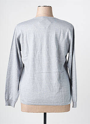 Pull coupe cintrée manches longues gris LEWINGER femme