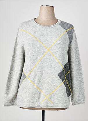 Pull coupe droite manches longues gris RABE femme