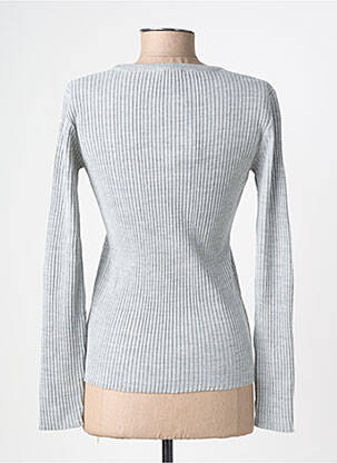 Pull coupe cintrée manches longues gris clair FELINO femme