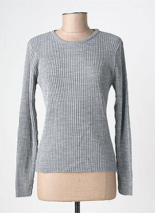 Pull coupe cintrée manches longues gris FELINO femme
