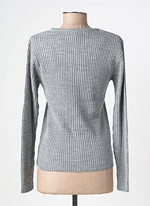 Pull coupe cintrée manches longues gris FELINO femme