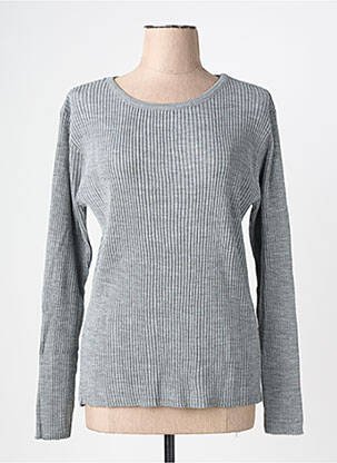 Pull coupe cintrée manches longues gris FELINO femme