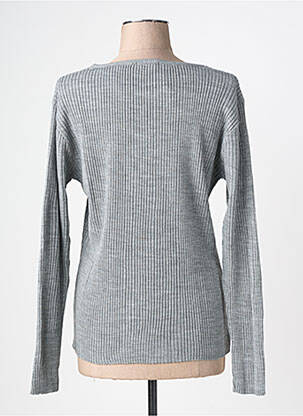 Pull coupe cintrée manches longues gris FELINO femme