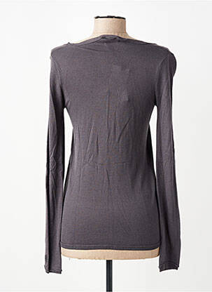 Pull coupe cintrée manches longues gris DIPLODOCUS femme