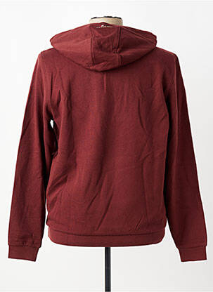 Sweat-shirt à capuche manches longues manches longues marron U.S. POLO ASSN homme