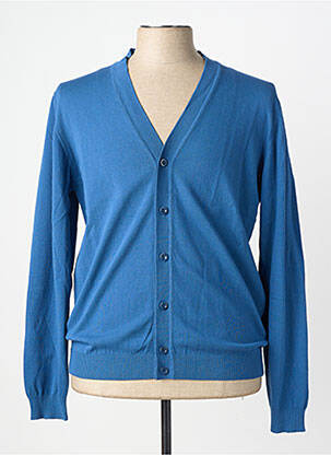 Gilet manches longues col v bleu WOOL & CO homme