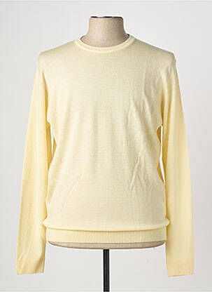 Pull stretch manches longues jaune WOOL & CO homme