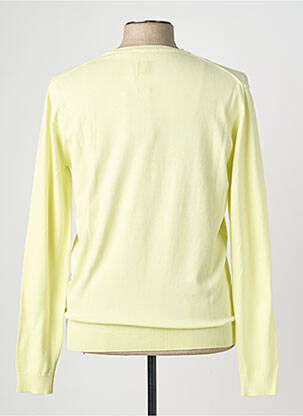 Pull col v manches longues jaune WOOL & CO homme