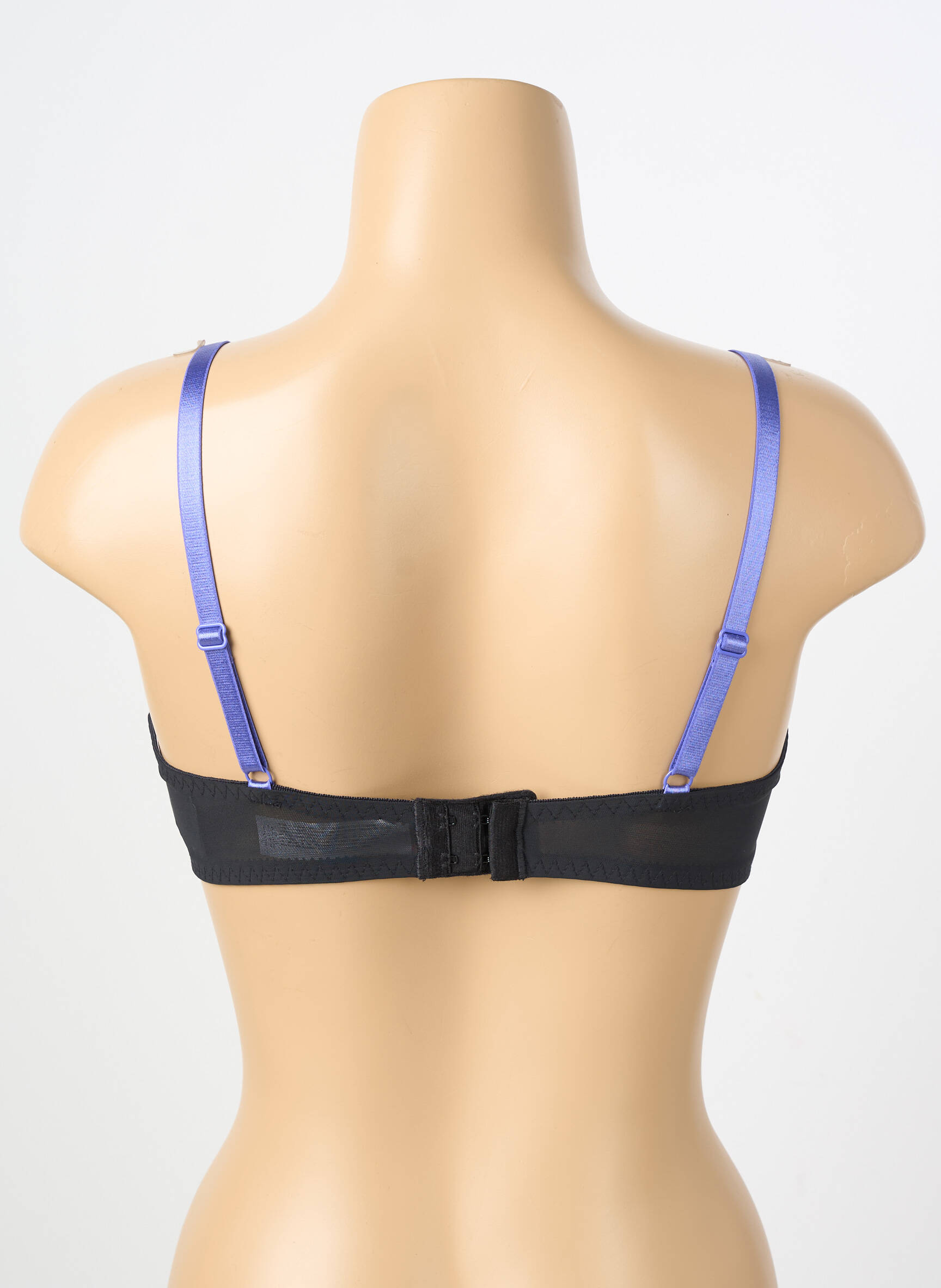 Soutien-gorge légère et transparente haut soutien-gorge emboitant bleu PASSIONATA femme