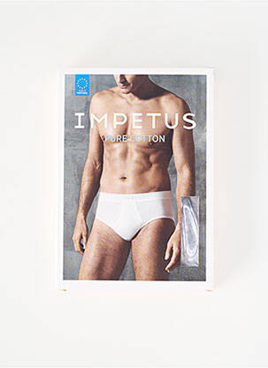 Slip stretch gris IMPETUS homme