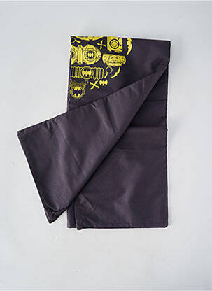 Serviette de plage gris ARENA homme