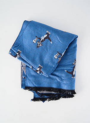 Echarpe maille fine bleu REVER MILE femme