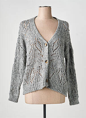 Gilet manches longues stretch gris PAKO LITTO femme