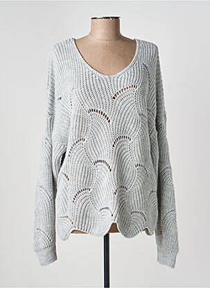 Pull coupe droite manches longues gris COULEURS DU TEMPS femme