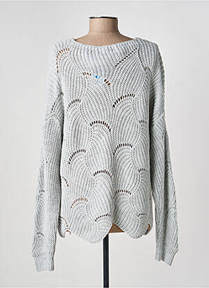Pull coupe droite manches longues gris COULEURS DU TEMPS femme