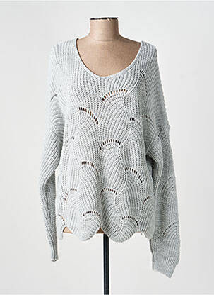 Pull coupe droite manches longues gris COULEURS DU TEMPS femme
