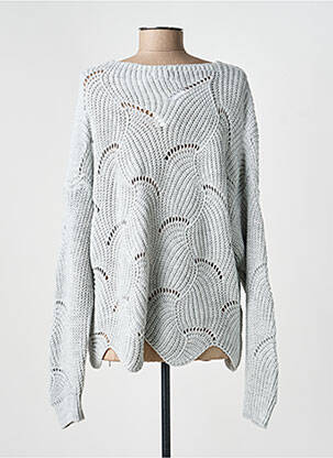 Pull coupe droite manches longues gris COULEURS DU TEMPS femme