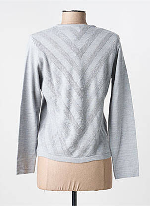 Pull coupe cintrée manches longues gris I.ODENA femme