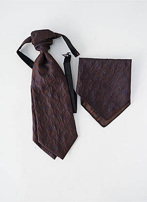 Cravate tissage satiné marron MASTERHAND homme