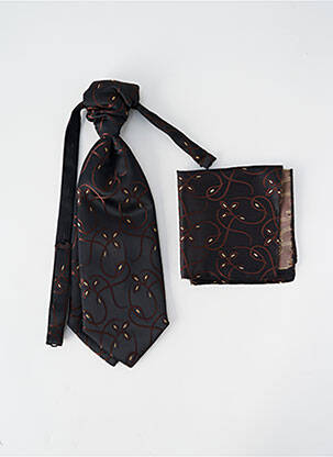 Cravate tissage satiné marron MASTERHAND homme