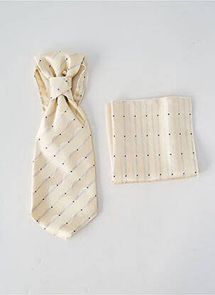 Cravate tissage satiné beige VIRTUOSE homme