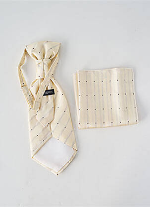 Cravate broderie beige VIRTUOSE homme