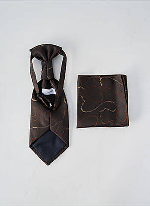 Cravate broderie marron VIRTUOSE homme