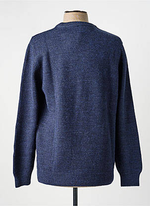 Pull col rond manches longues bleu STIL PARK homme