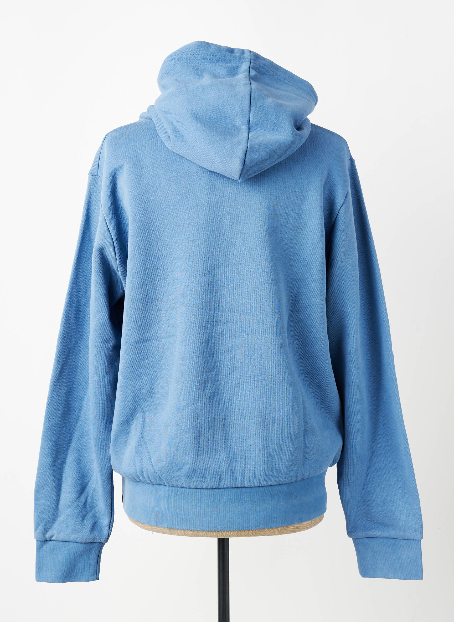 Sweat-shirt à capuche maille opaque manches longues bleu IRON AND RESIN homme