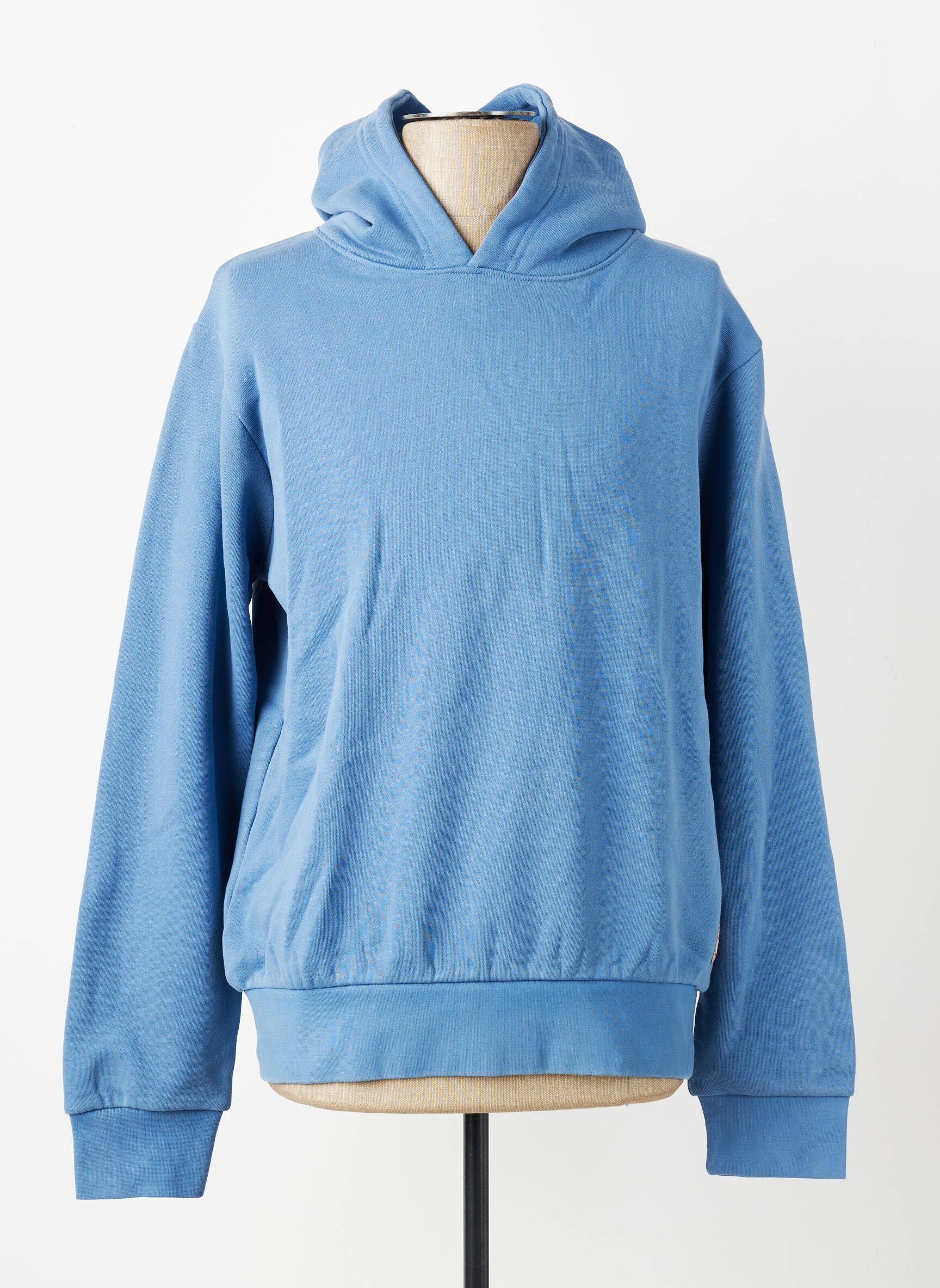 Sweat-shirt à capuche maille opaque manches longues bleu IRON AND RESIN homme