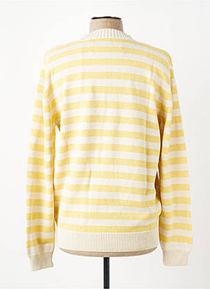 Pull col rond manches longues jaune IRON AND RESIN homme